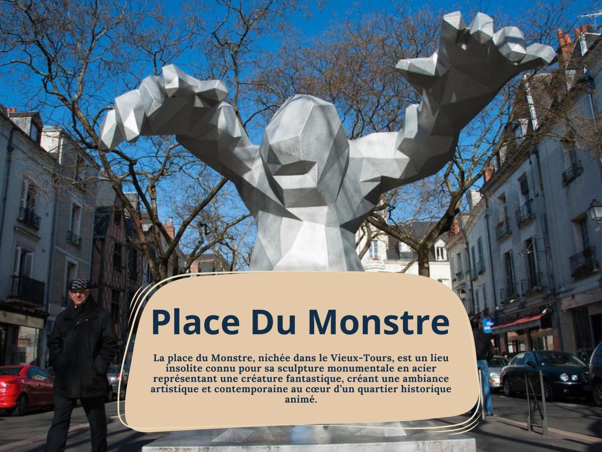 Begonia - Place Plumereau Tours Exterior photo
