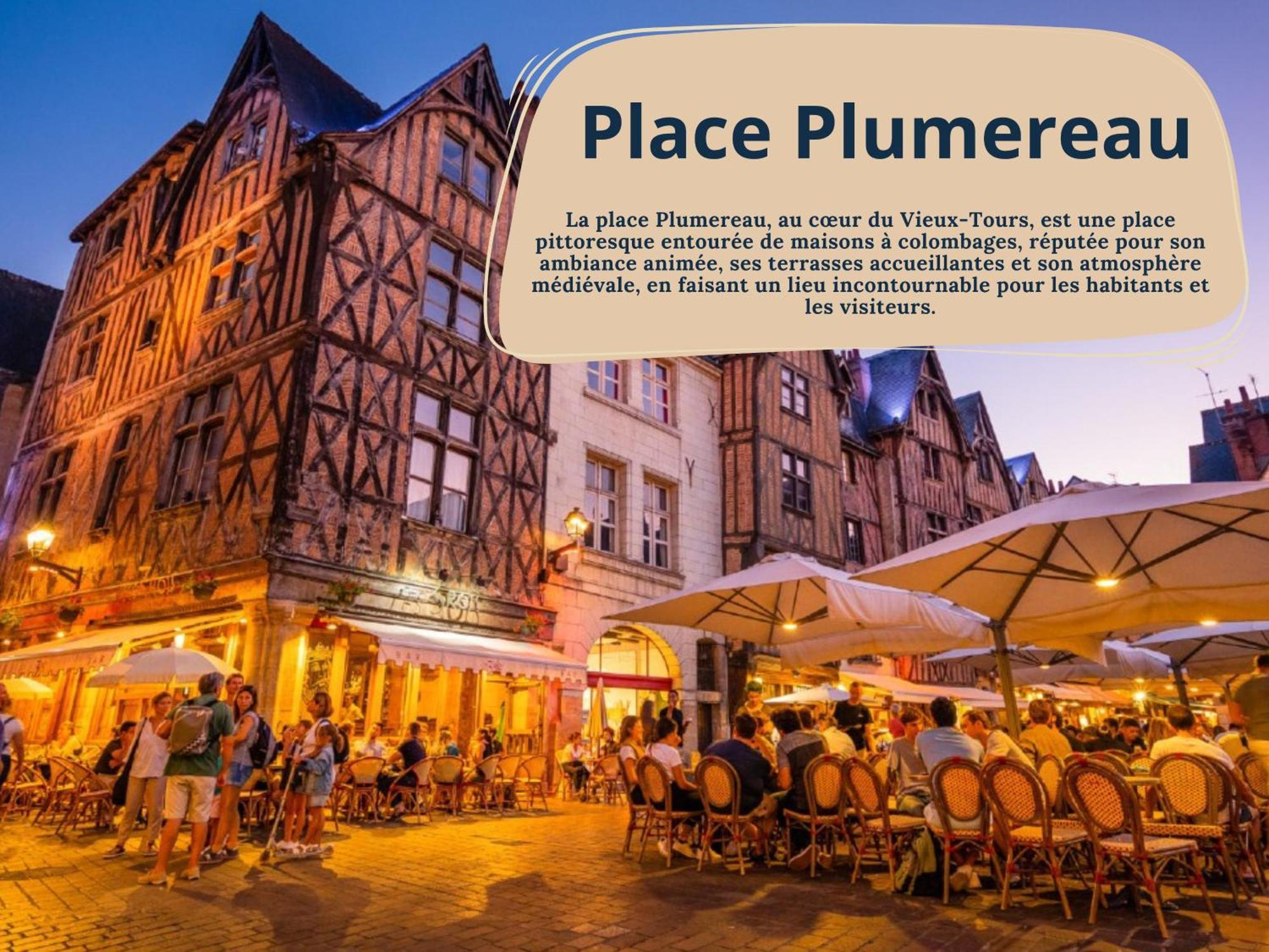 Begonia - Place Plumereau Tours Exterior photo